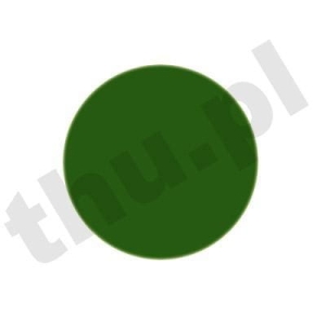 Nakładka koloryzująca