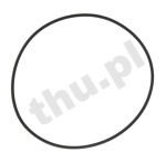 Oring 120 x 3