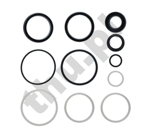 Uszczelki siłownika rygla