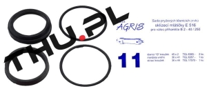 Uszczelniacze siłownika hydraulicznego B2-40/250 nr : 11