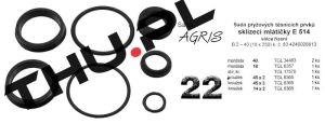 Uszczelniacze siłownika hydraulicznego B2-40-18x250 nr : 22