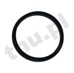 Oring 100 x 5