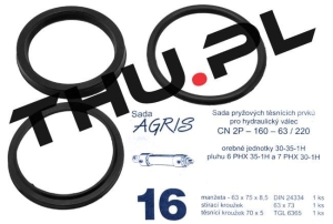 Uszczelniacze siłownika hydraulicznego CN2P-160-63/220 nr : 16